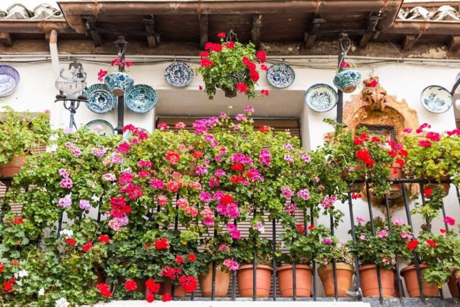 Granada: Albaicín and Sacromonte Walking Tour - The Sum Up