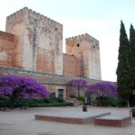 Granada: Alhambra and Charles V Palace Tour - Who Will Love This Tour?