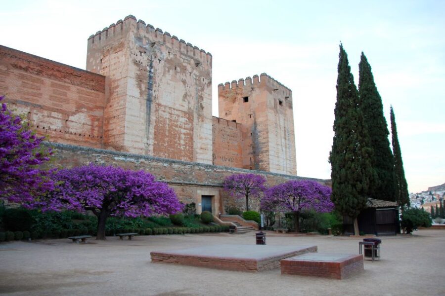 Granada: Alhambra and Charles V Palace Tour - Who Will Love This Tour?