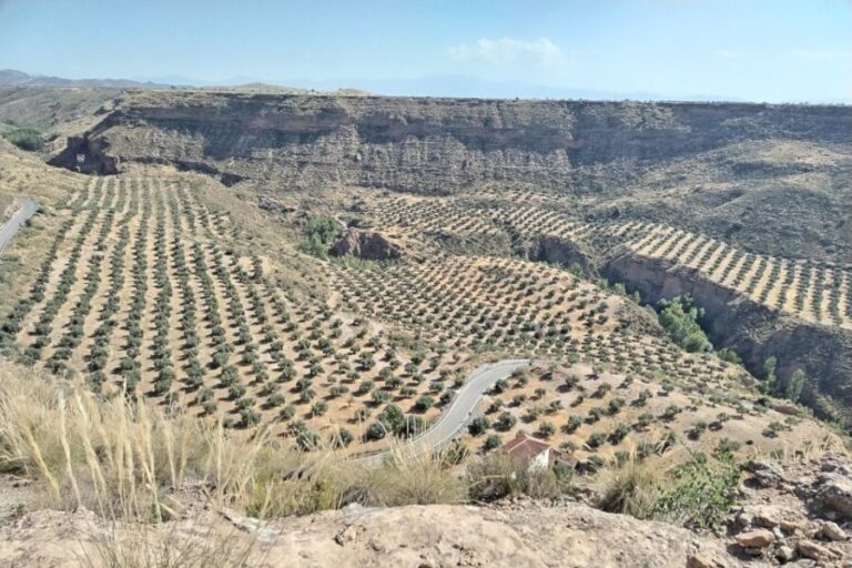 Granada: End of the World Viewpoints 4x4 Tour in the Geopark - Authentic Experiences That Make the Difference