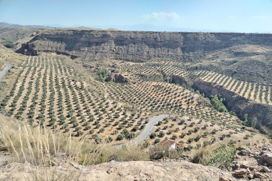 Granada: End of the World Viewpoints 4x4 Tour in the Geopark - Authentic Experiences That Make the Difference