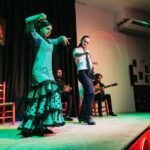 Granada: Flamenco Show in La Alboreá - Unpacking the Flamenco Experience in Granada
