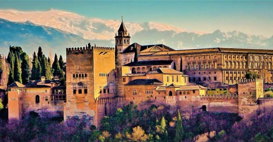 Granada: Full Alhambra Premium Guided Tour with Tickets - Diving Deep Into the Alhambra Tour: What You Can Expect