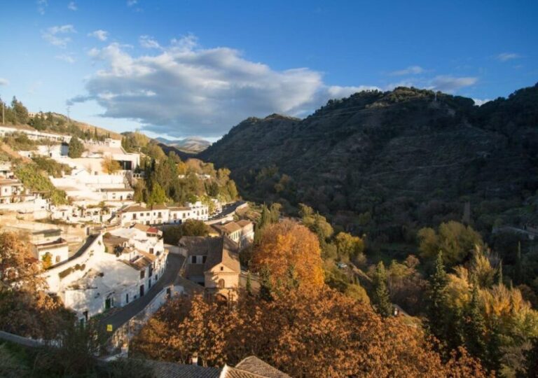 Granada: Half-Day 4-Neighborhoods 4-Cultures Private Tour - What Makes This Tour Stand Out?