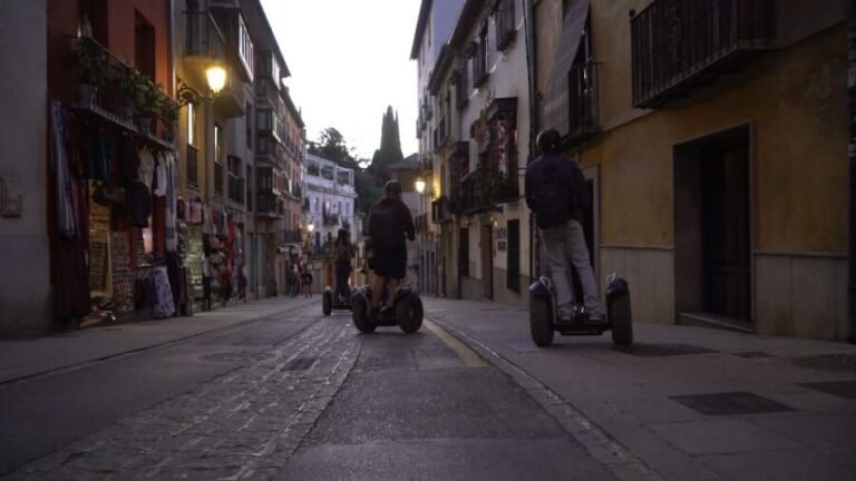 Granada: Historical City Center Guided Segway Tour - Who Will Love This Tour?