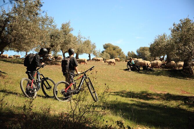 Granada: Nature, Wildlife and Authentic Villages E-bike Tour - Practical Details That Matter