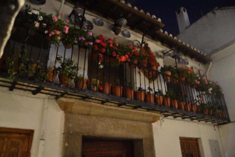 Granada: Sacromonte Caves Flamenco Show - Who Will Love This Tour?