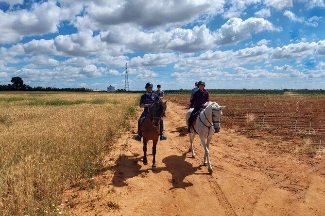 Granada & Sierra Nevada Horse Riding Tour - FAQ