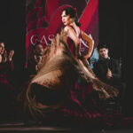 Granada: Traditional Flamenco Show at Tablao Casa Ana - A Close Look at the Flamenco Experience at Casa Ana
