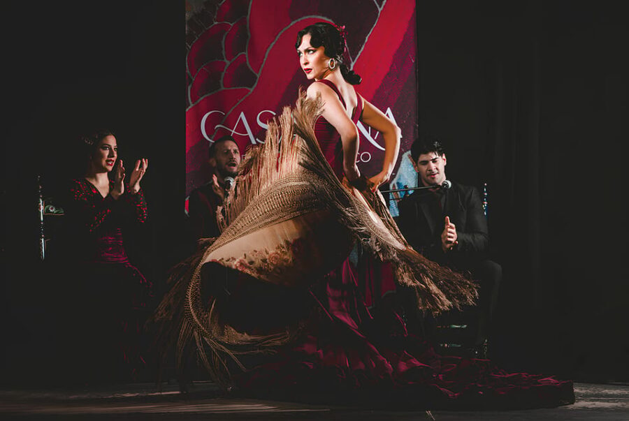 Granada: Traditional Flamenco Show at Tablao Casa Ana - A Close Look at the Flamenco Experience at Casa Ana