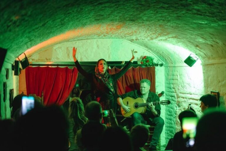 Granada: Traditional Flamenco Show in a Cave Entry Ticket - An In-Depth Look at the Flamenco Cave Experience