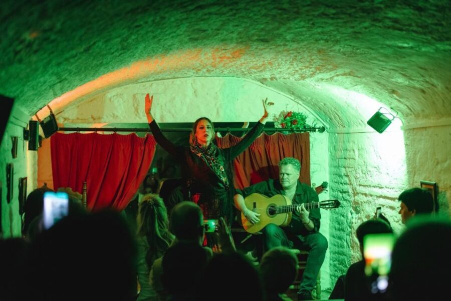 Granada: Traditional Flamenco Show in a Cave Entry Ticket - An In-Depth Look at the Flamenco Cave Experience