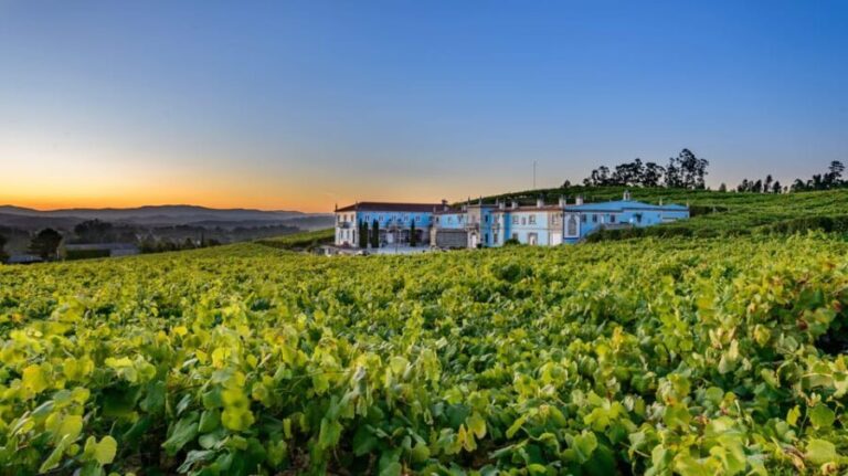 Granbazán Winery: Guided Tour and Wine Tasting - Who Will Love This Tour?