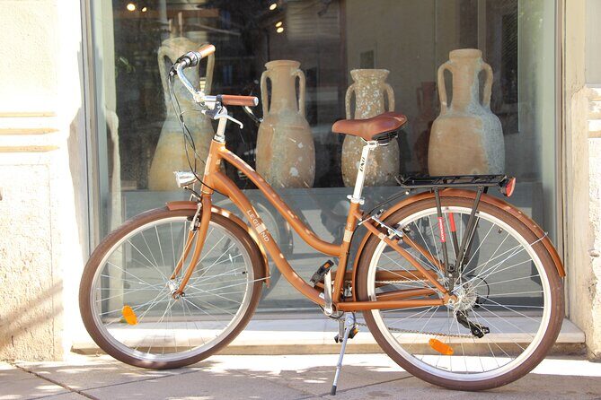 GRAND CITY Private Guided Tour on Bike, E-Bike, E-Step or Segway - Who Should Consider This Tour?