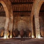 Grande Prova Honrado Vineyards - Practical Details and Tips