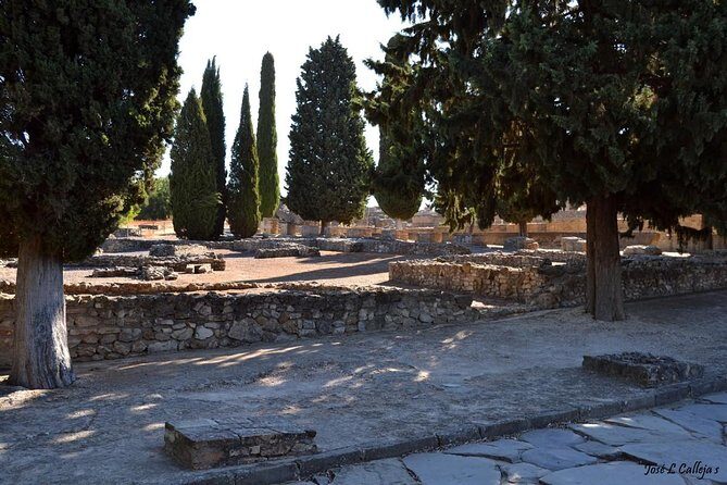 Group Excursion from Seville to Italica (Seville Roman Town) - Who Will Love This Tour?