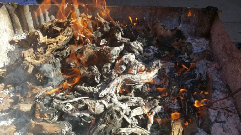 Guardiola de Font-Rubí: Winery & Grill Menu Tour - A Closer Look at the Experience
