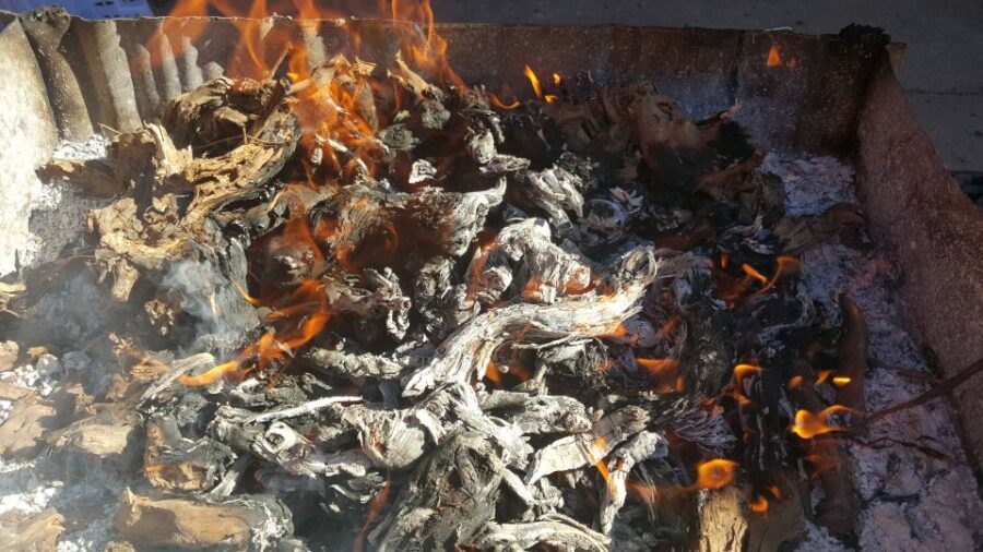 Guardiola de Font-Rubí: Winery & Grill Menu Tour - A Closer Look at the Experience