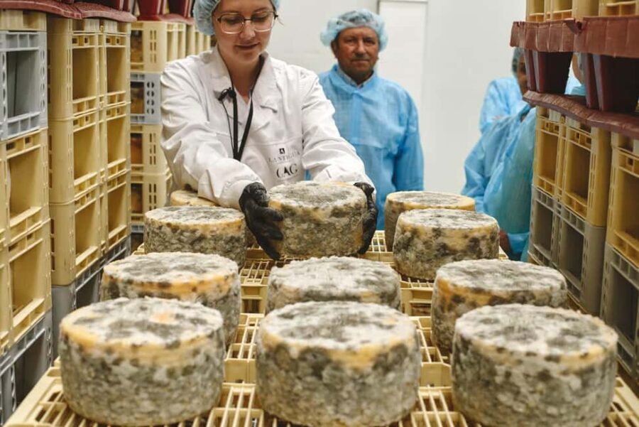 Guide Visit to the old Cheese Factory - FAQ