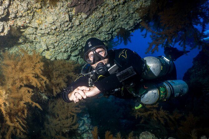 Guided Boat Dives for Certified Divers - Analyzing the Value