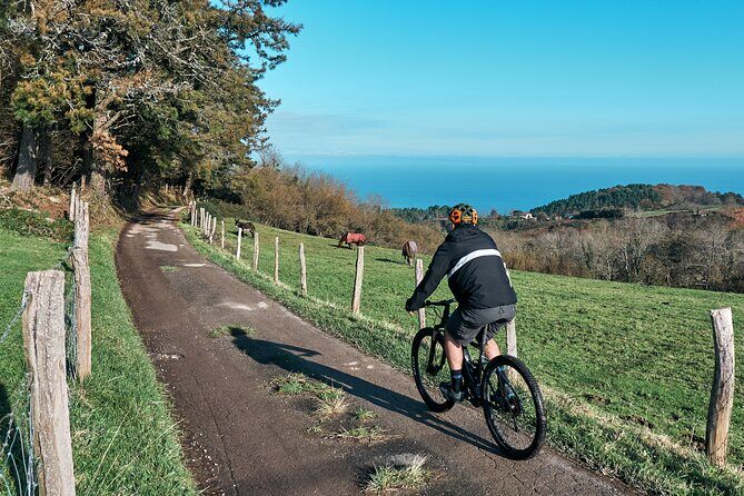 Guided Electric Mountain Bike Tour in Gipuzkoa - The Itinerary in Detail