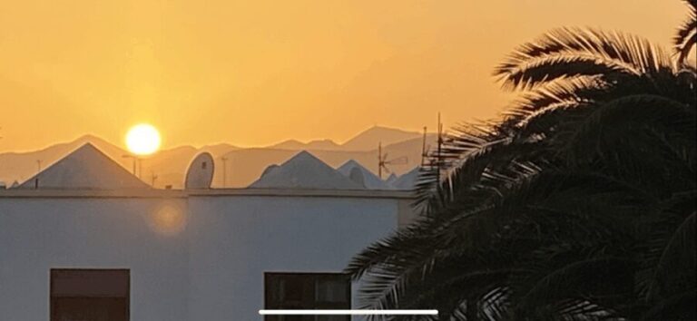 Guided excursion to the hometown of Cesar Manrique Haria Lanzarote - Who Will Love This Tour?