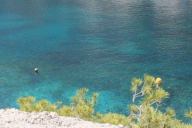 Guided hike in the Calanques National Park - Food and Refreshments: A Taste of Provence