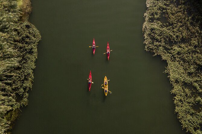 Guided Kayak Tour to Gracia Island - FAQs