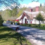 Guided Killarney National Park Walking Tour - The Authentic Experience: What Makes This Tour Special?
