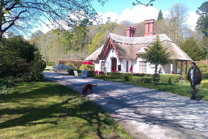 Guided Killarney National Park Walking Tour - The Authentic Experience: What Makes This Tour Special?