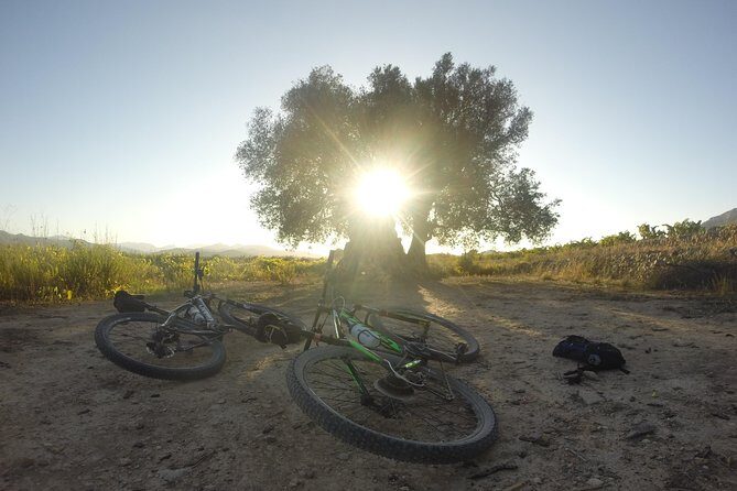 Guided mountain bike route - "Pata Negra" Tour - The Sum Up