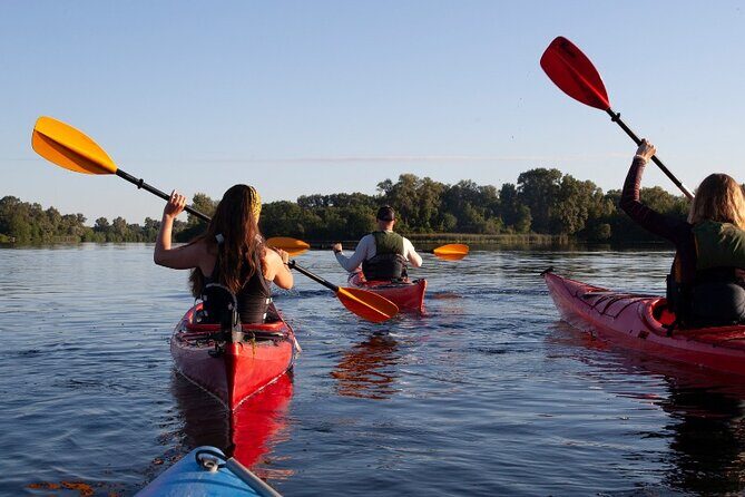 Guided River & Sea Kayaking with Snorkeling in Omi - FAQ