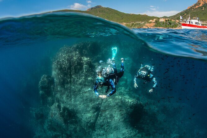 guided Scuba Diving on Tenerife (for certified divers) - Who Would Love This Tour?