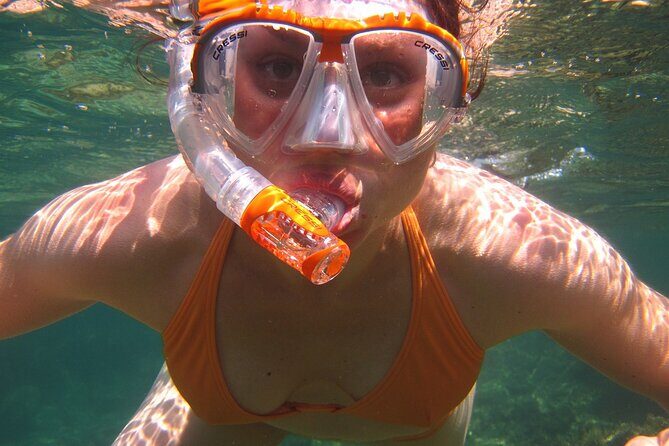 Guided Snorkeling Experience - Who Is This Tour Perfect For?
