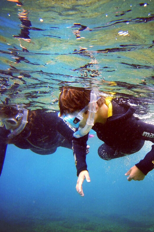 Guided Snorkelling experience in south of Gran Canaria - An In-Depth Look at the Snorkelling Tour
