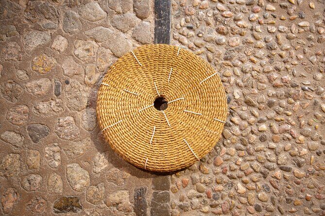 Guided Tasting Tour in 16th century House and Olive Oil Factory - Exploring the Tour in Detail