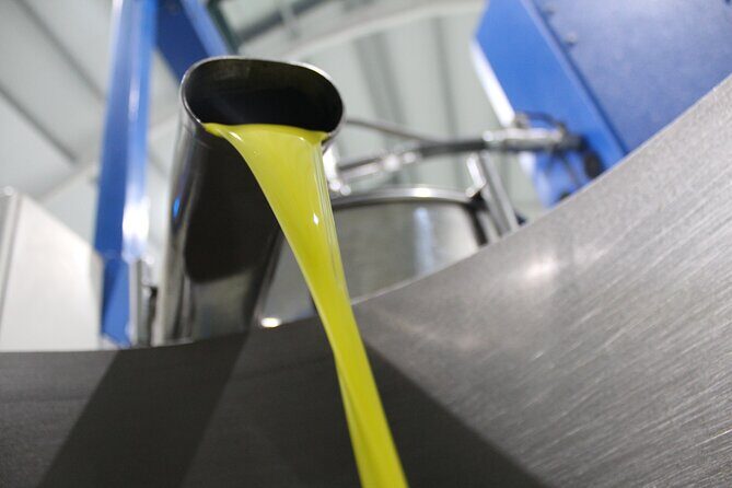 Guided tour and olive oil tasting in Alhaurin el Grande (Málaga) - The Itinerary in Detail