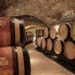 Guided tour and wine tasting Northern Rhône Valley - Who Will Love This Tour?