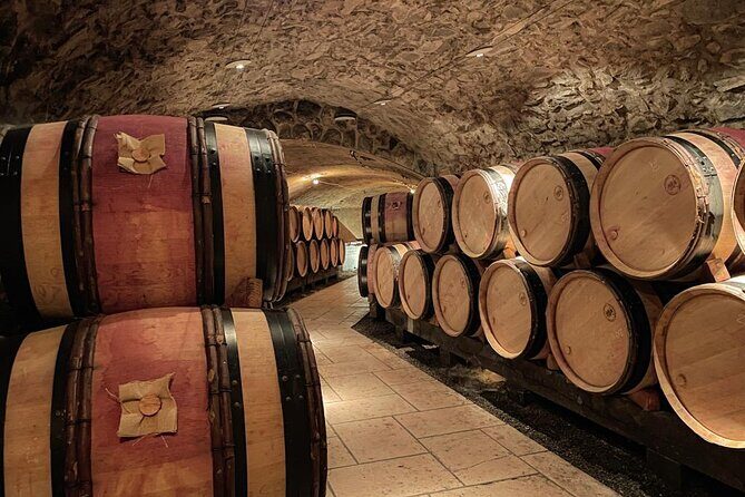 Guided tour and wine tasting Northern Rhône Valley - Who Will Love This Tour?