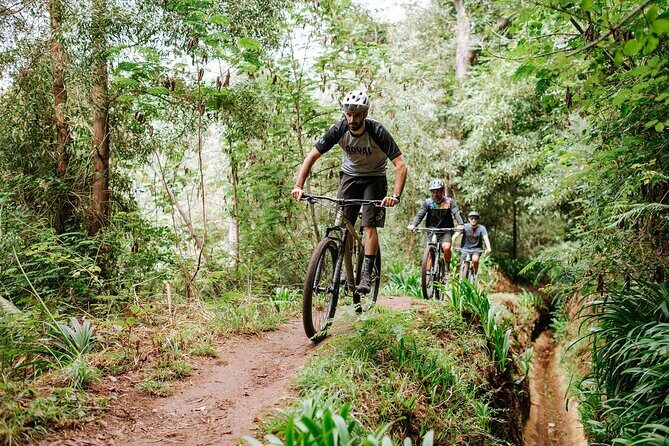 Guided Tour Electric Mountain Bike Experience - Frequently Asked Questions