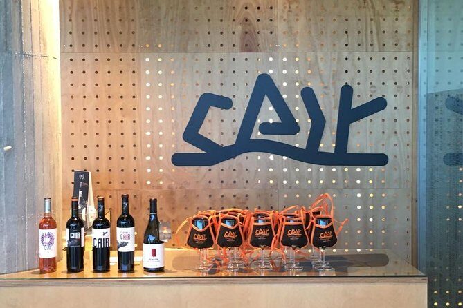Guided tour glass in hand with wine tasting directly from the barrel - Why This Tour Works for Travelers
