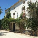 Guided Tour Of An Old Winery with Tasting from Alicante and Elche - Who Should Consider This Tour?