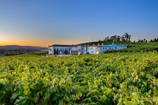 Guided tour of Bodegas Granbazán - The Sum Up