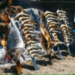 Guided tour of Malaga fishing scene with cooking workshop - Who Will Love This Tour?