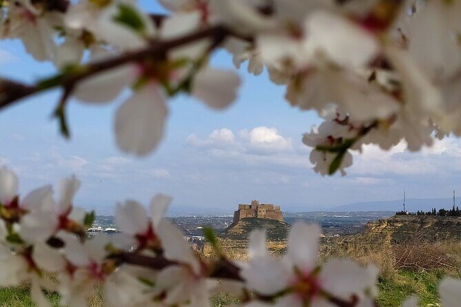 Guided tour of Monzón and the castle 3h. - Final Thoughts