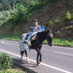 Guided tour of Sete Cidades & Lagoa do Fogo, lunch included - Frequently Asked Questions