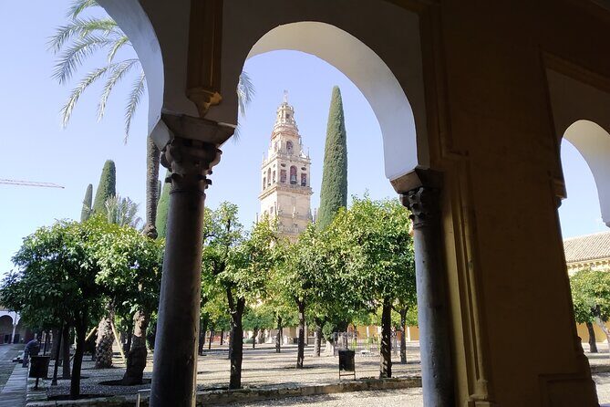 Guided tour of the Mosque-Cathedral of Cordoba in Spanish - Why This Tour Is Worth It