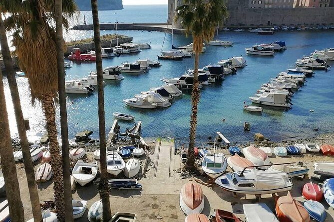 Guided Tour to discover Dubrovnik's Old Town, by day or night - The Night Tour Option