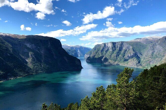 Guided Tour To Nærøyfjorden, Flåm And Stegastein - Viewpoint Cruise - Why This Tour Is a Great Choice