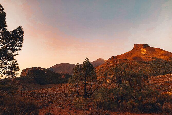 Guided Tour to Teide National Park in Tenerife - Who Should Consider This Tour?